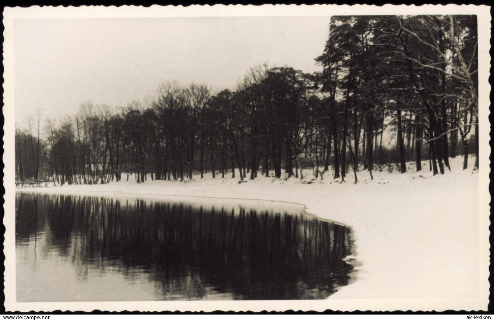 Grunewald-Berlin Grunewaldsee, Uferpartie Im Winter 1950 Privatfoto Foto - Grunewald