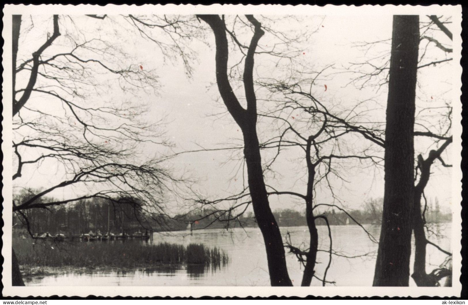 Foto Schmöckwitz-Berlin Partie Am Seddinsee 1950 Privatfoto Foto - Schmöckwitz