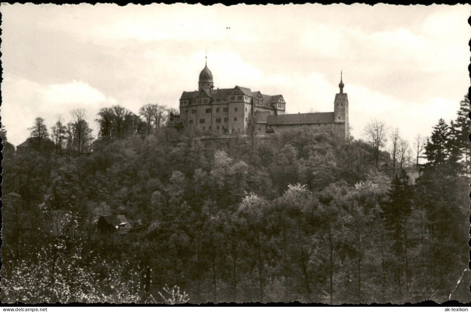Ansichtskarte Rochsburg-Lunzenau Blick Auf Schloss Rochsburg A.d. Mulde 1967 - Lunzenau