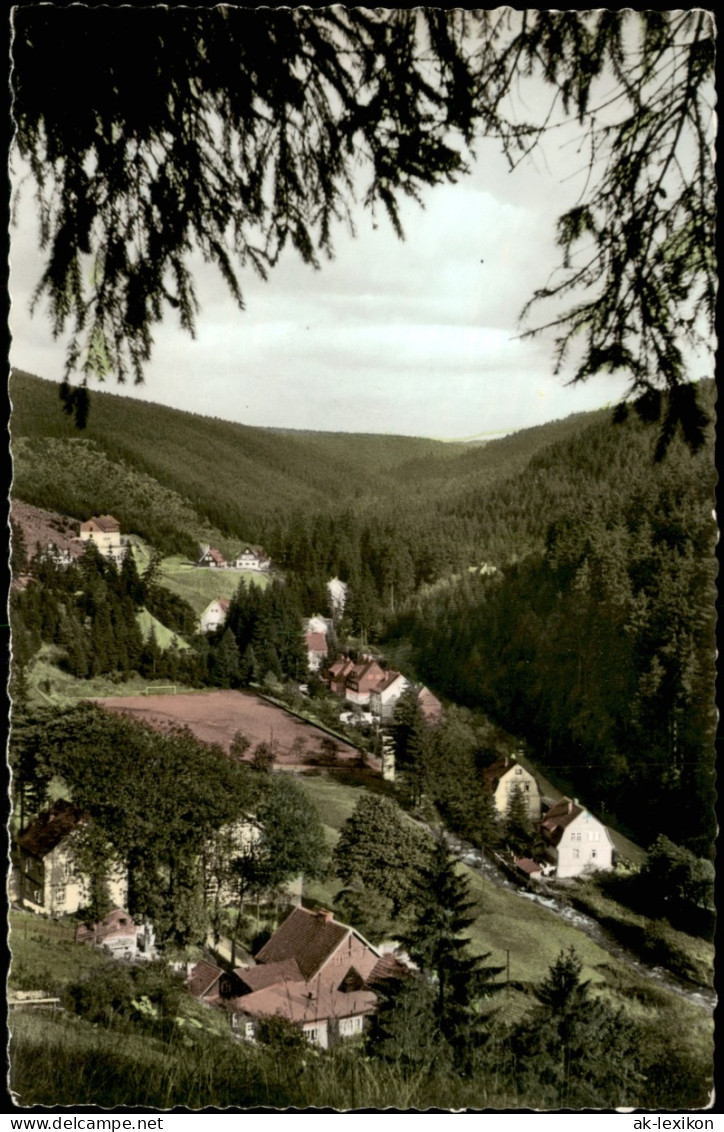 Wildemann (Innerstetal) Blick Vom Hüttenberg Ins Spiegeltal 1960 - Wildemann