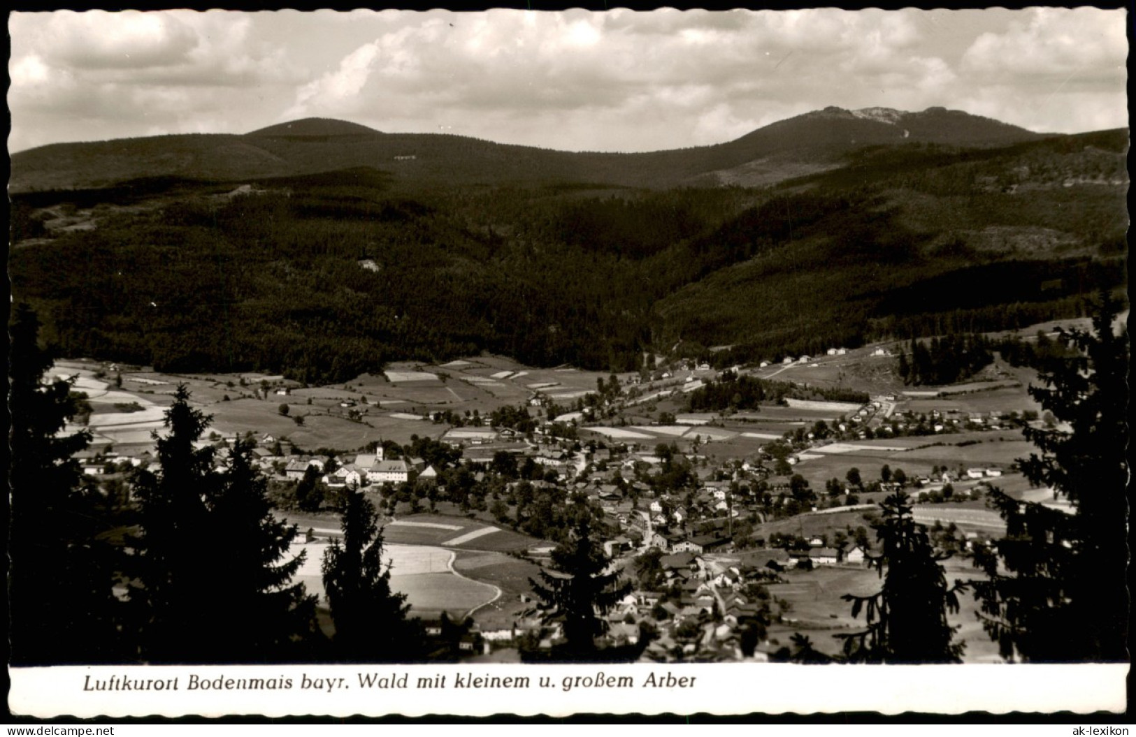 Bodenmais Panorama Ort Im Bayr. Wald Mit Kleinem U. Großem Arber 1960/1958 - Bodenmais