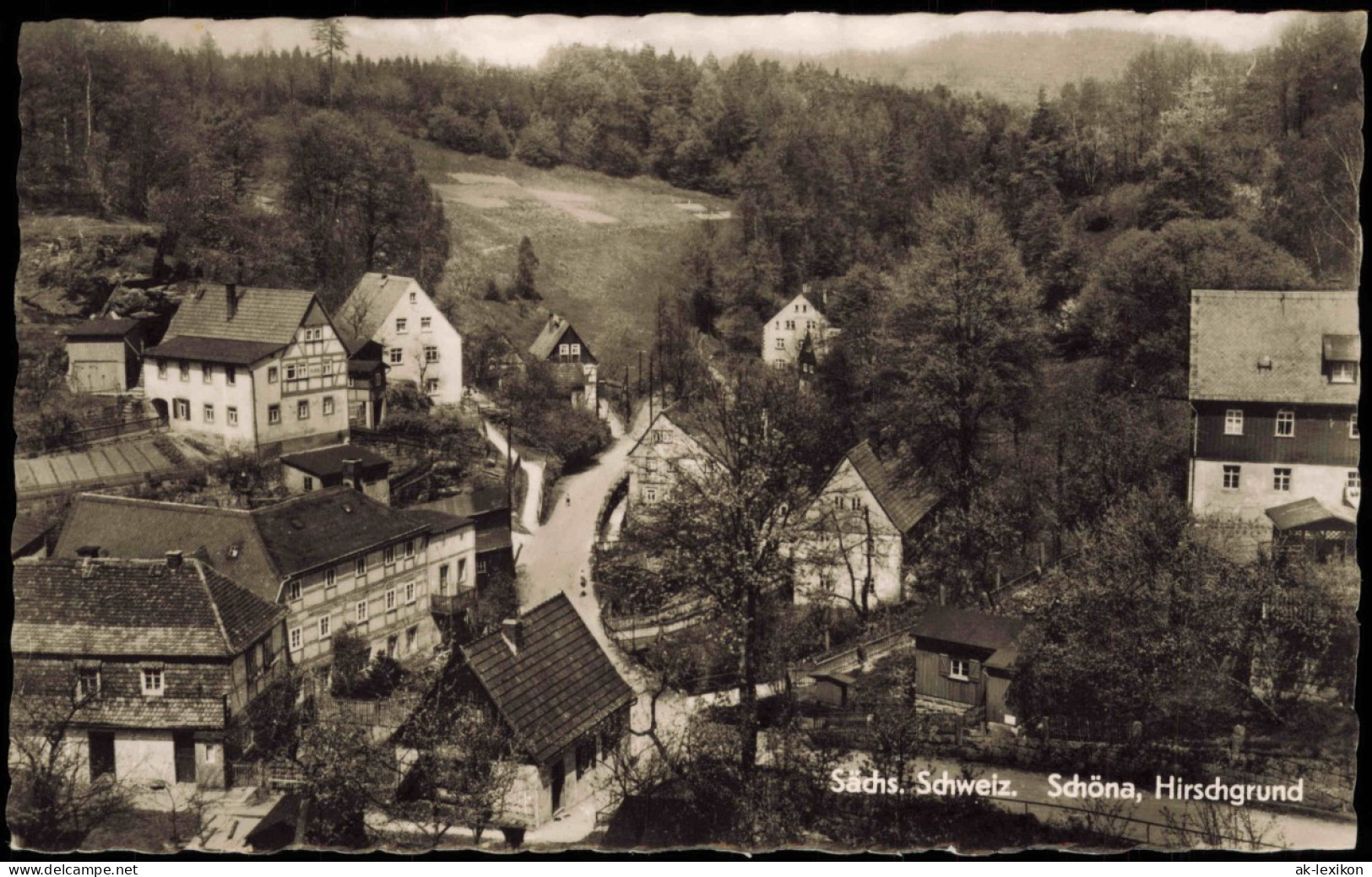 Schöna-Reinhardtsdorf-Schöna Sächsische Schweiz Schöna, Hirschgrund, DDR AK 1961 - Schoena