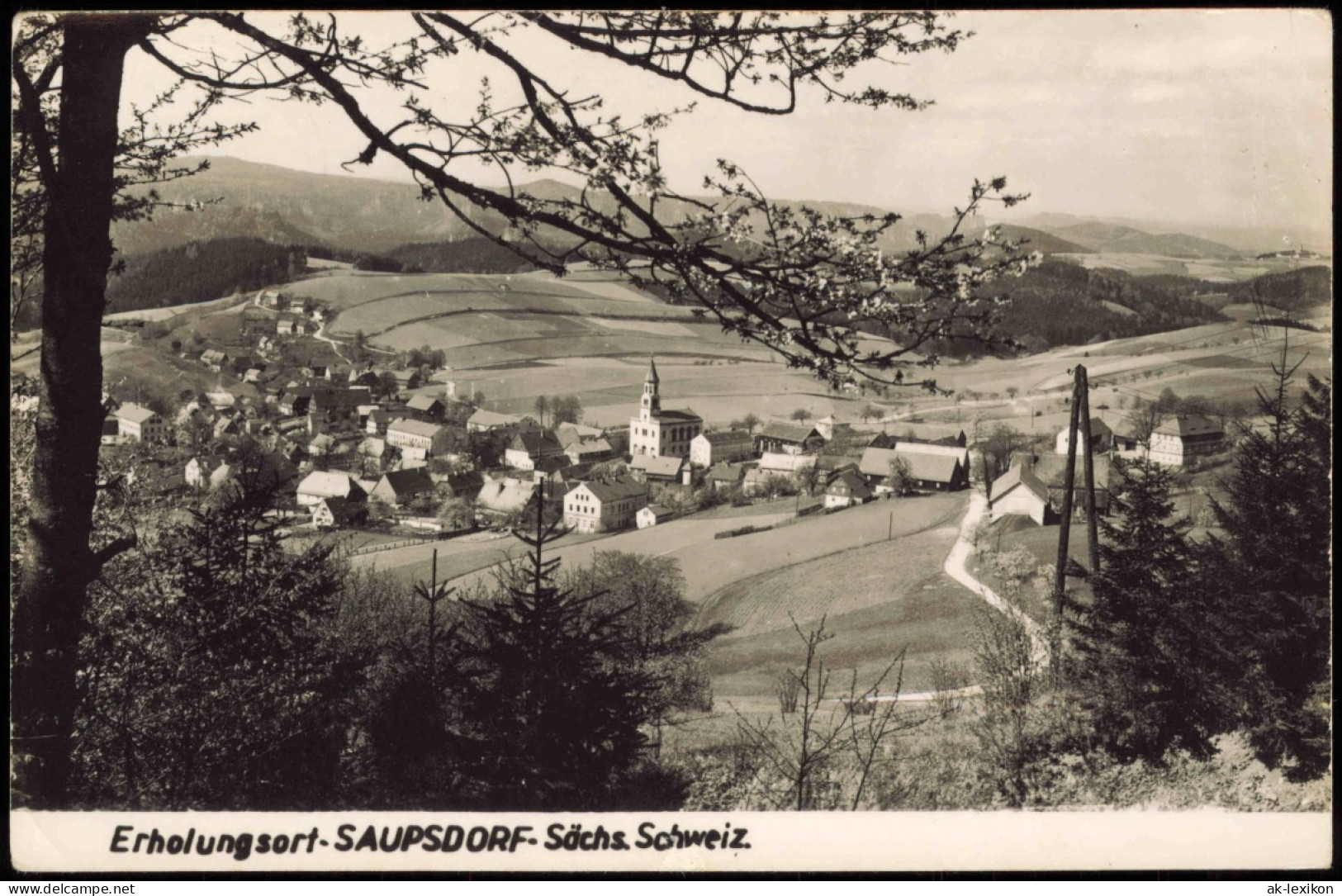Ansichtskarte Saupsdorf-Sebnitz Panorama-Ansicht Zur DDR-Zeit 1961 - Kirnitzschtal