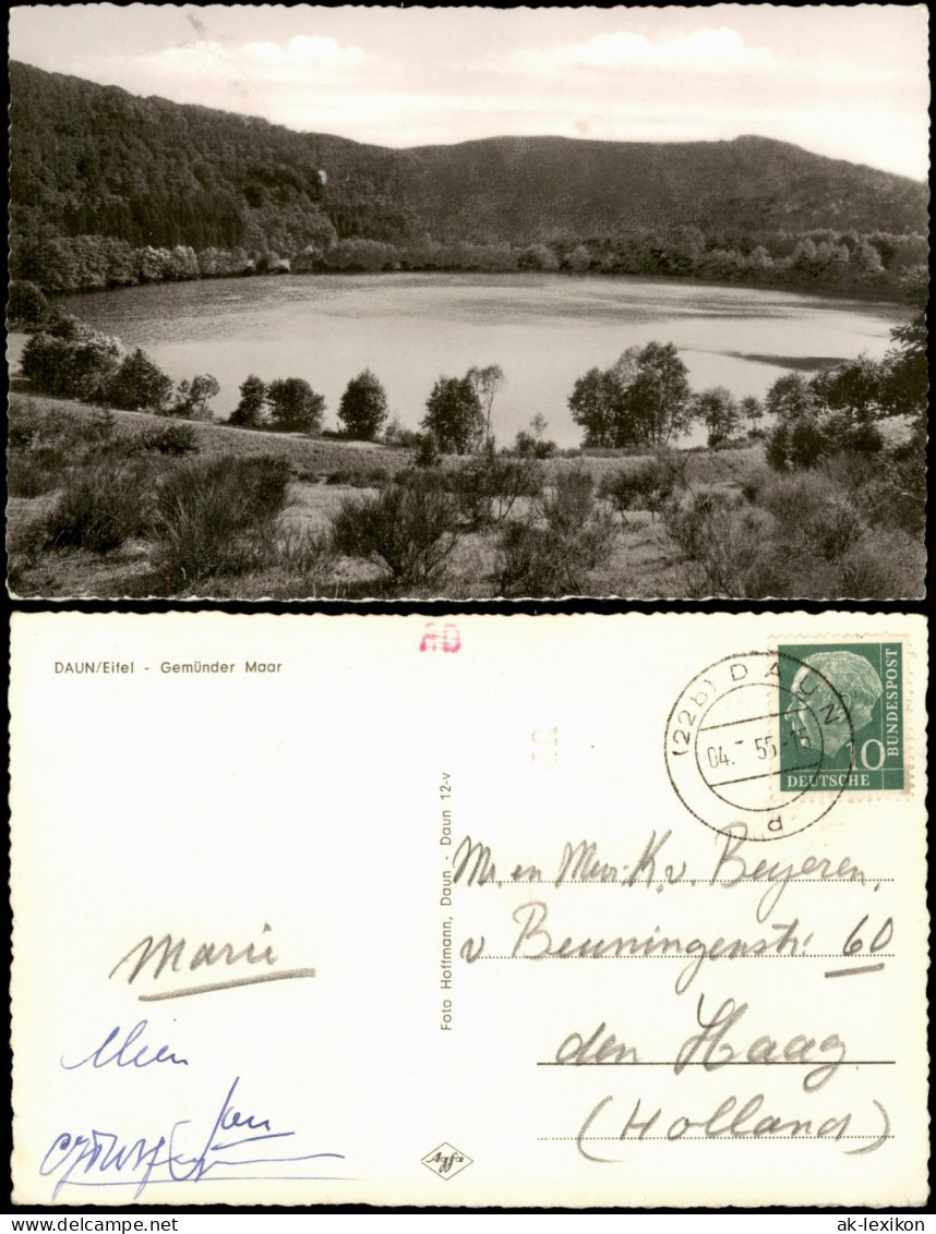 Ansichtskarte Daun Eifel Gemünder Maar Umland-Ansicht 1955 - Daun