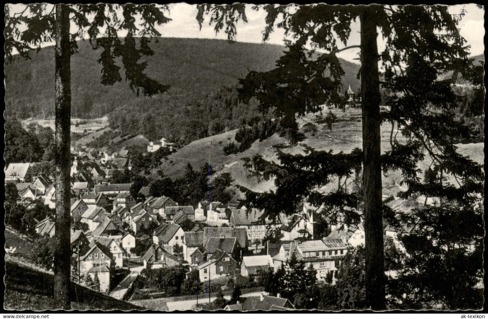 Ansichtskarte Bad Grund (Harz) Panorama-Ansicht Blick Vom Knollen 1960 - Bad Grund