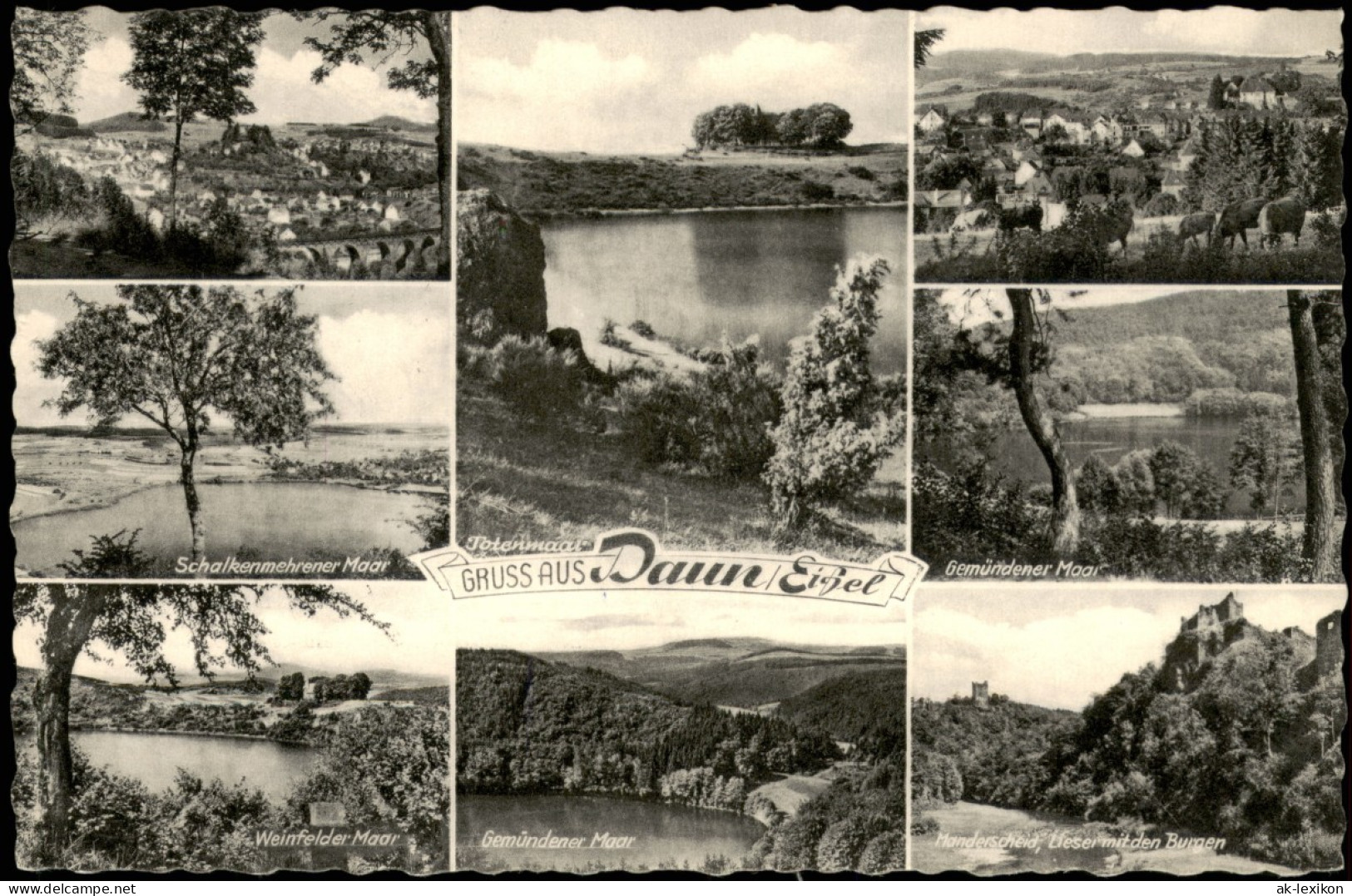 Daun Eifel Mehrbild-AK Mit 8 Orts- Und Eifel Umland-Ansichten 1963 - Daun