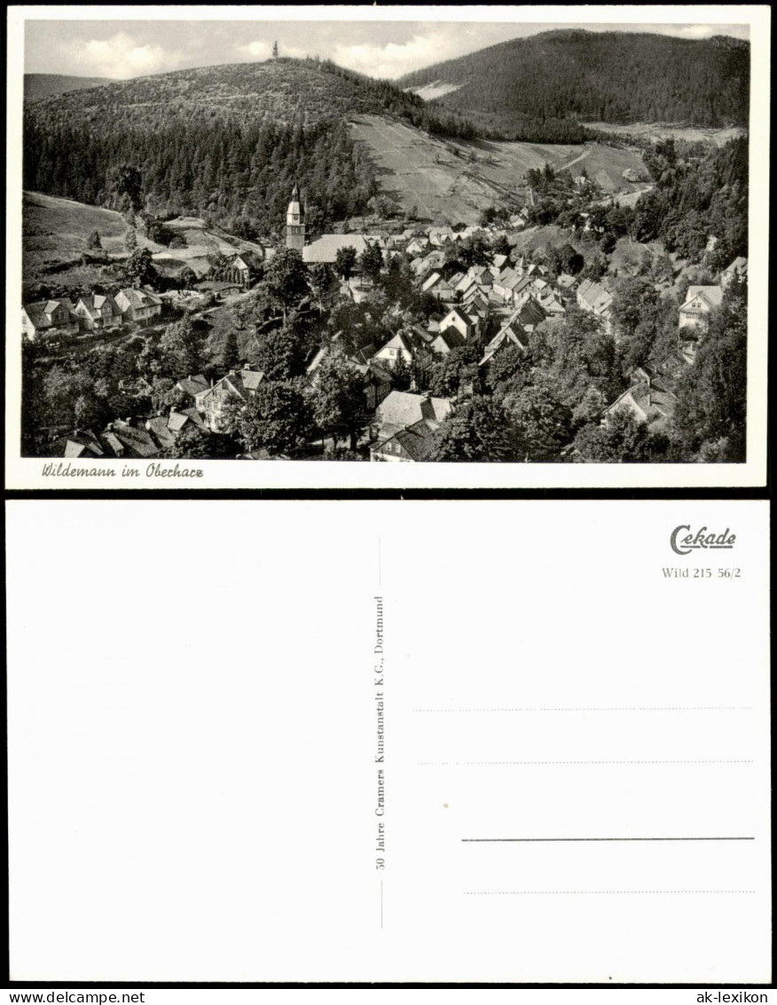 Ansichtskarte Wildemann (Innerstetal) Panorama-Ansicht; Oberharz 1956 - Wildemann