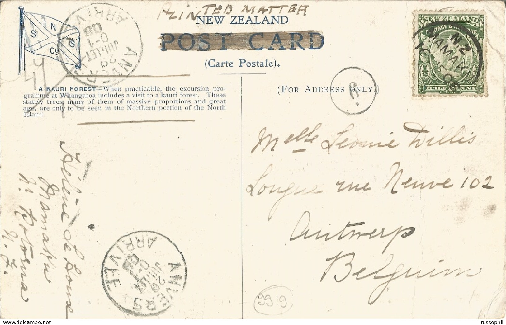 NZ - FRANKED PC (VIEW OF KORI FOREST) SENT FROM MAMAKU (ROTORUA) TO BELGIUM  - 1906 - Covers & Documents