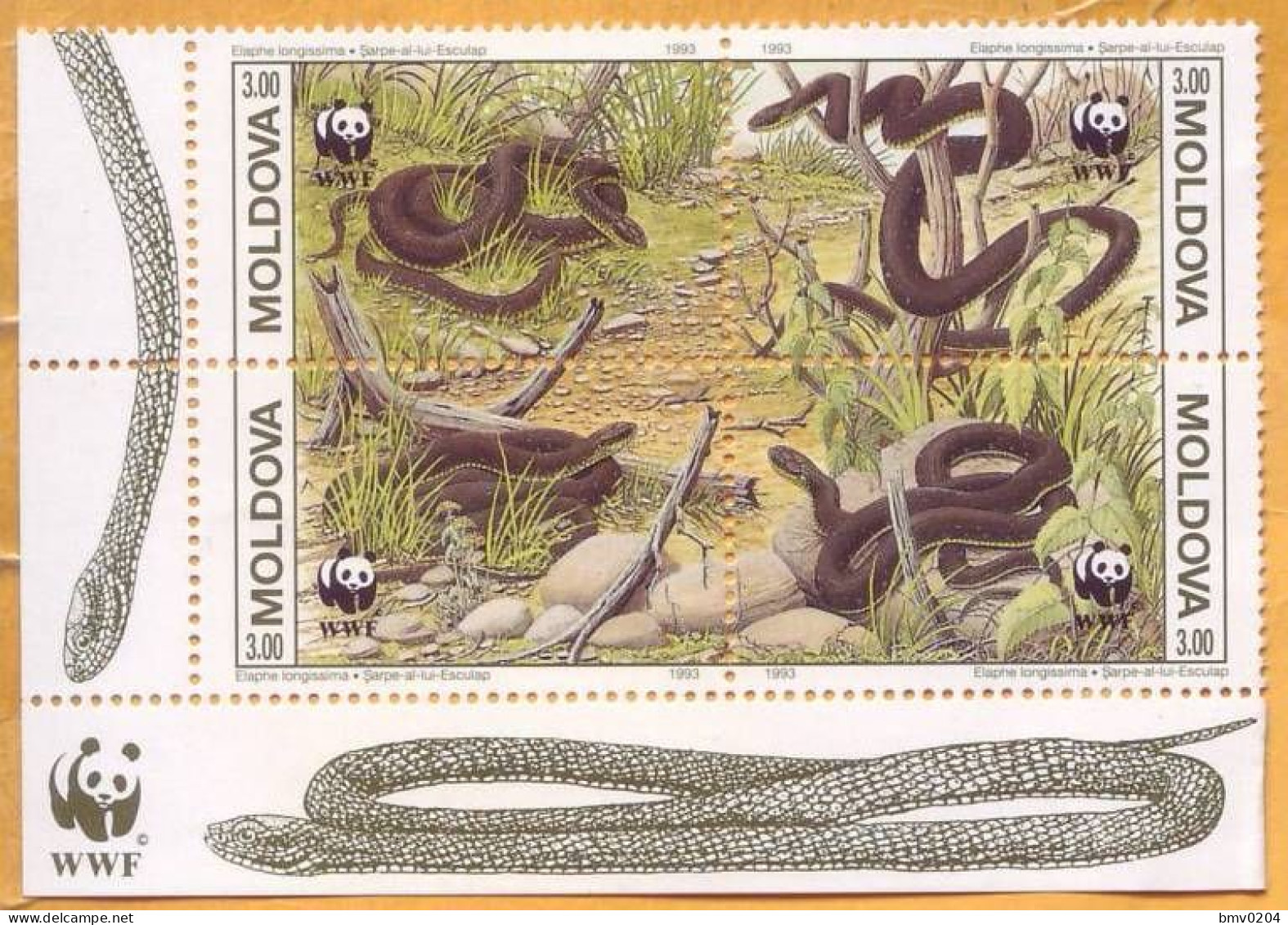 1993 Moldova Moldavie, Fauna, Snakes, Nature, WWF, 4v Mint - Snakes