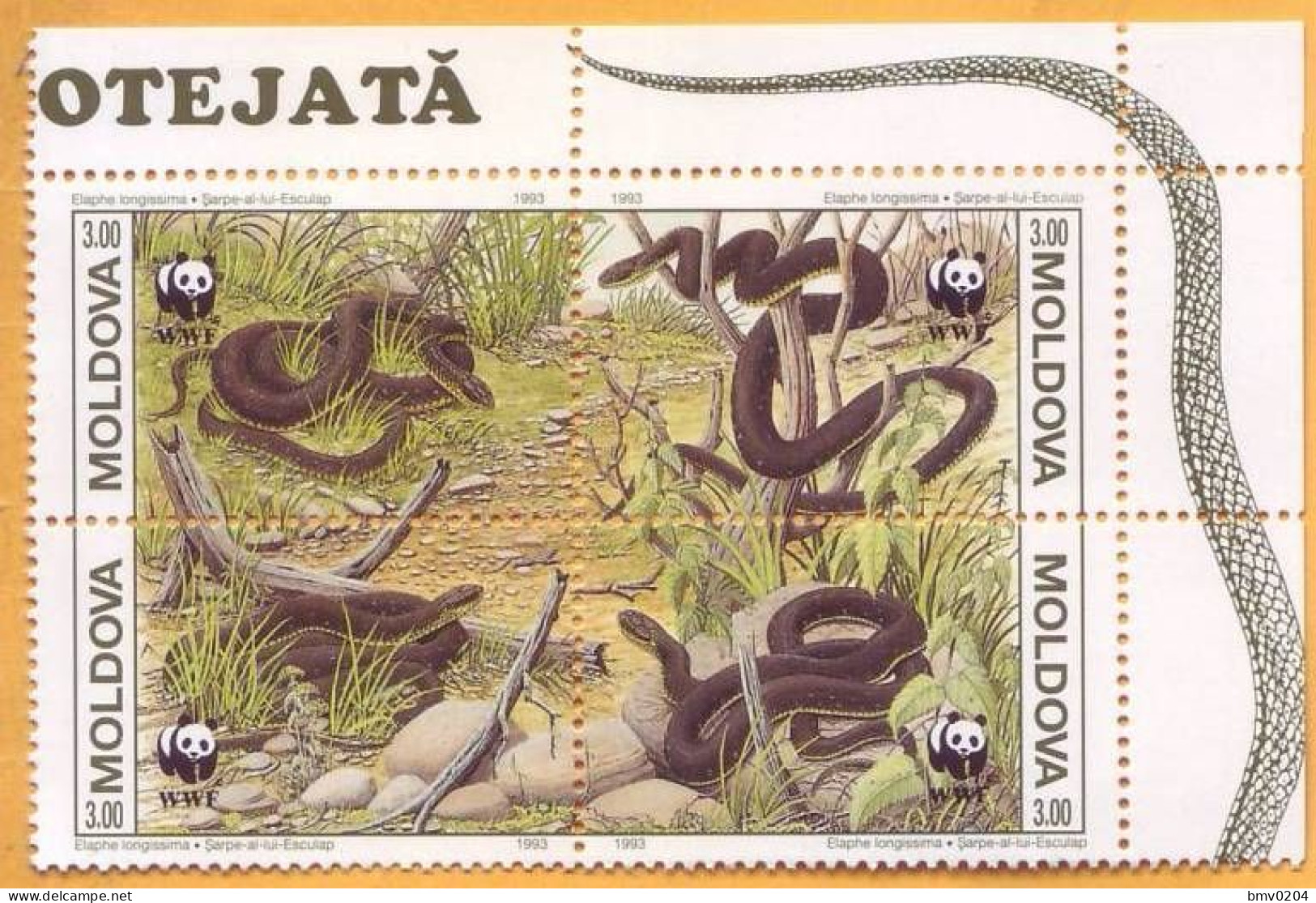1993 Moldova Moldavie, Fauna, Snakes, Nature, WWF, 4v Mint - Serpenti