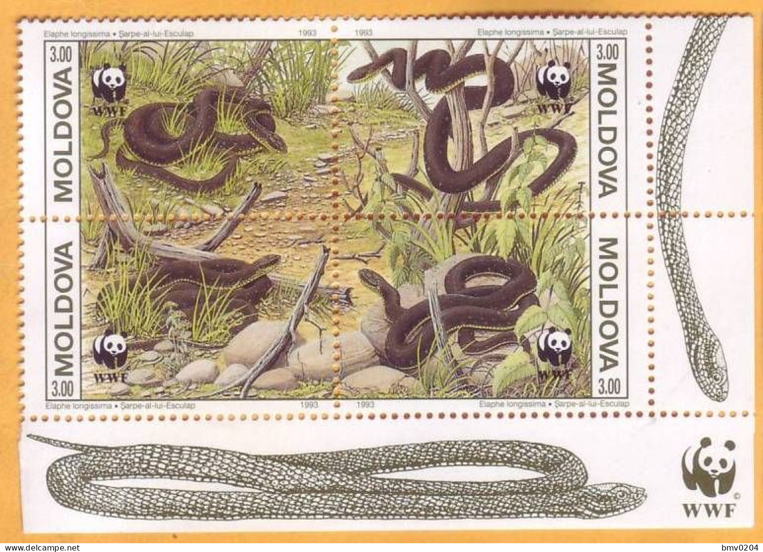 1993 Moldova Moldavie, Fauna, Snakes, Nature, WWF, 4v Mint - Serpents