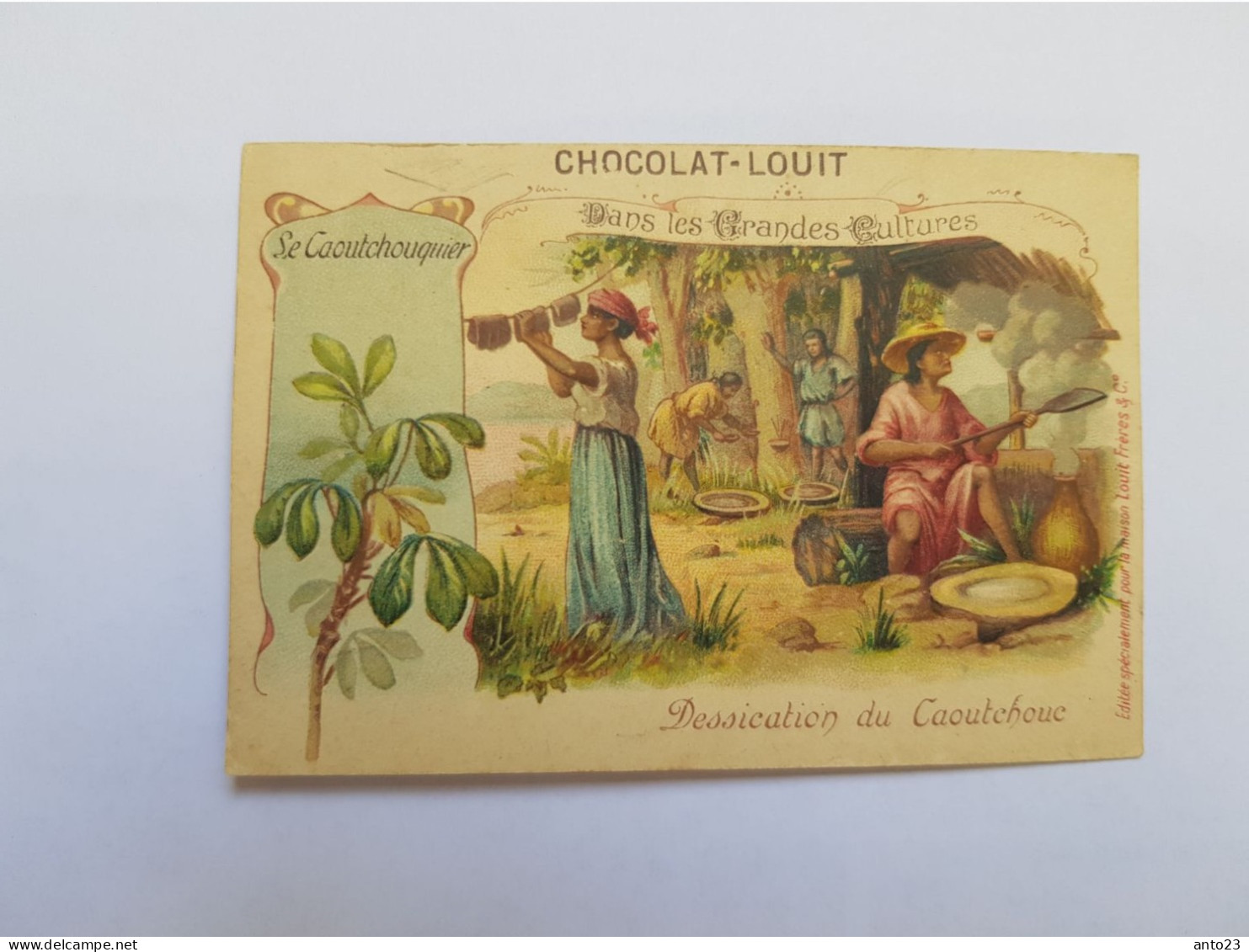 CHROMO PUBLICITAIRE CHOCOLAT LOUIT " Le Caoutchouquier " - Louit