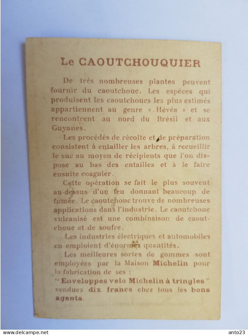 CHROMO PUBLICITAIRE CHOCOLAT LOUIT " Le Caoutchouquier " - Louit