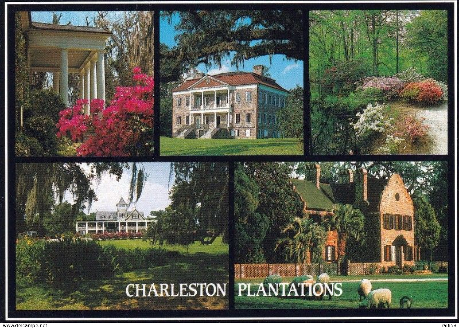 1 AK USA / South Carolina * Plantations Bei Charleston - Boone Hall, Drayton Hall, Cypress Gardens, Magnolia Gardens * - Charleston