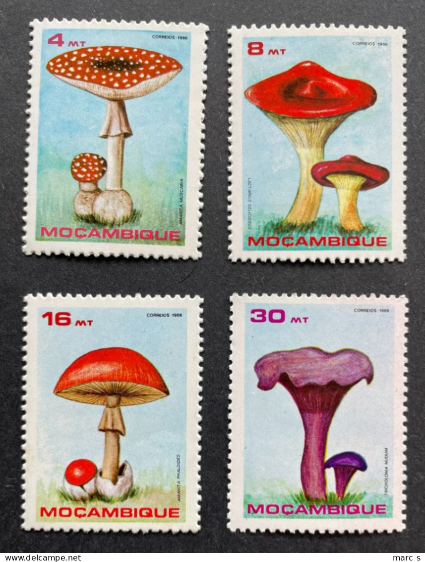 MOZAMBIQUE - 1986 - NEUF**/MNH - Série Complète Mi 1057 / 1060 - YT 1029 / 1032 - CHAMPIGNONS MUSHROOMS - Mozambique