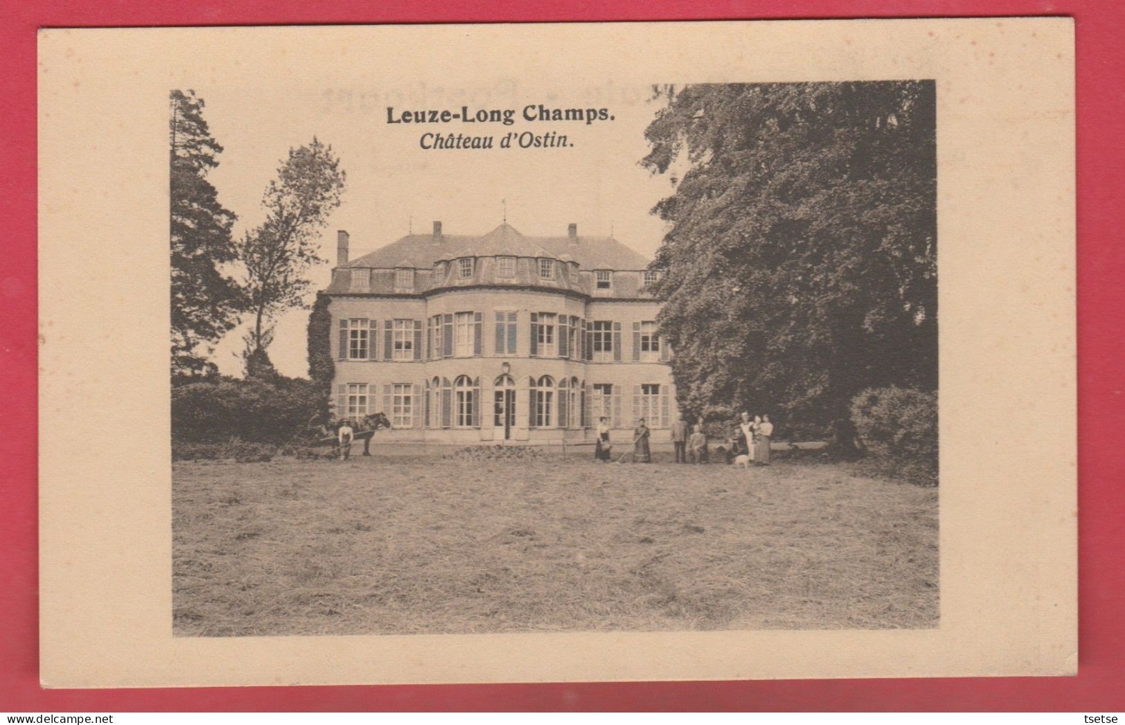 Leuze-Long Champs - Château D'Ostin ( Voir Verso ) - Eghezée