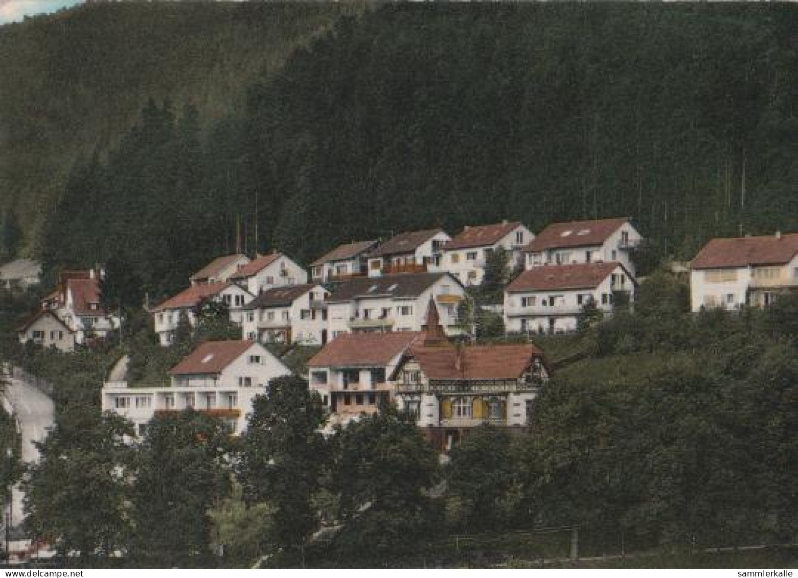 20558 - Bad Teinach - Weihreute - 1969 - Bad Teinach