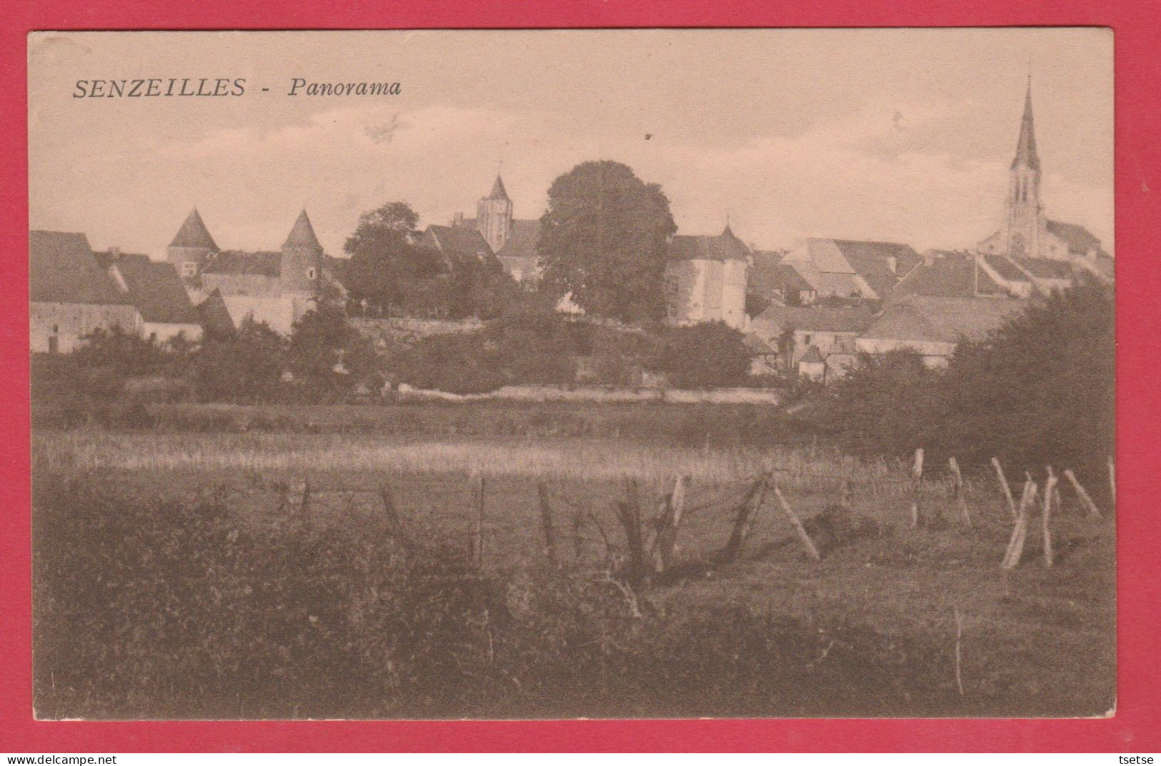 Senzeilles - Panorama ... Vue Du Village ( Voir Verso ) - Cerfontaine