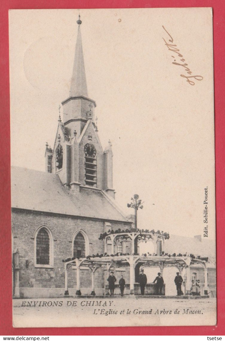 Macon ( Environs De Chimay ) - L'Eglise Et Le Grand Arbre -1903 ( Voir Verso ) - Momignies