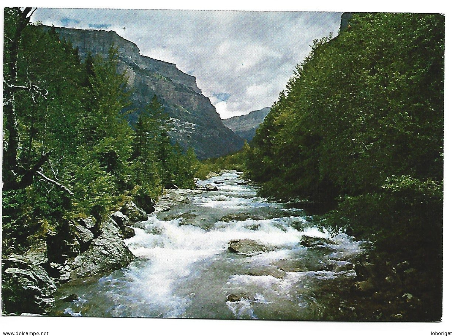 RIO ARAZAS DESDE EL PUENTE DE BRIET.- PARQUE NACIONAL DE ORDESA.- HUESCA.- ( ESPAÑA ) - Huesca