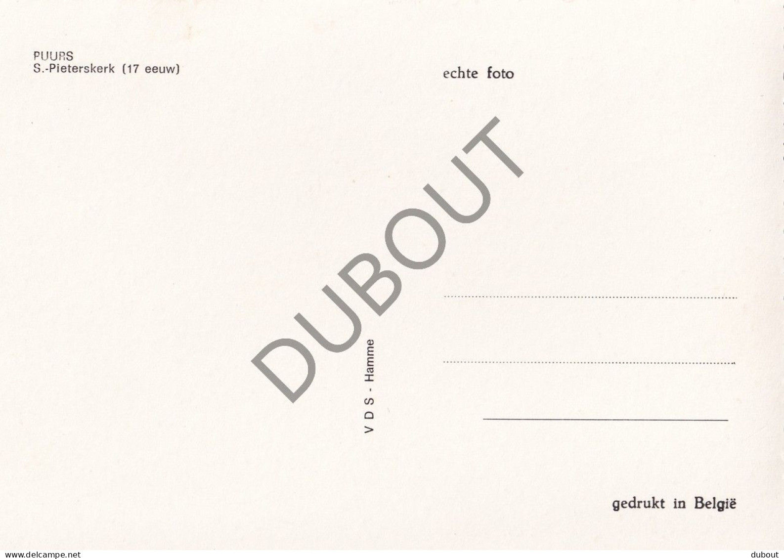 Postkaart - Carte Postale - Puurs - Kerk (C5743) - Puurs