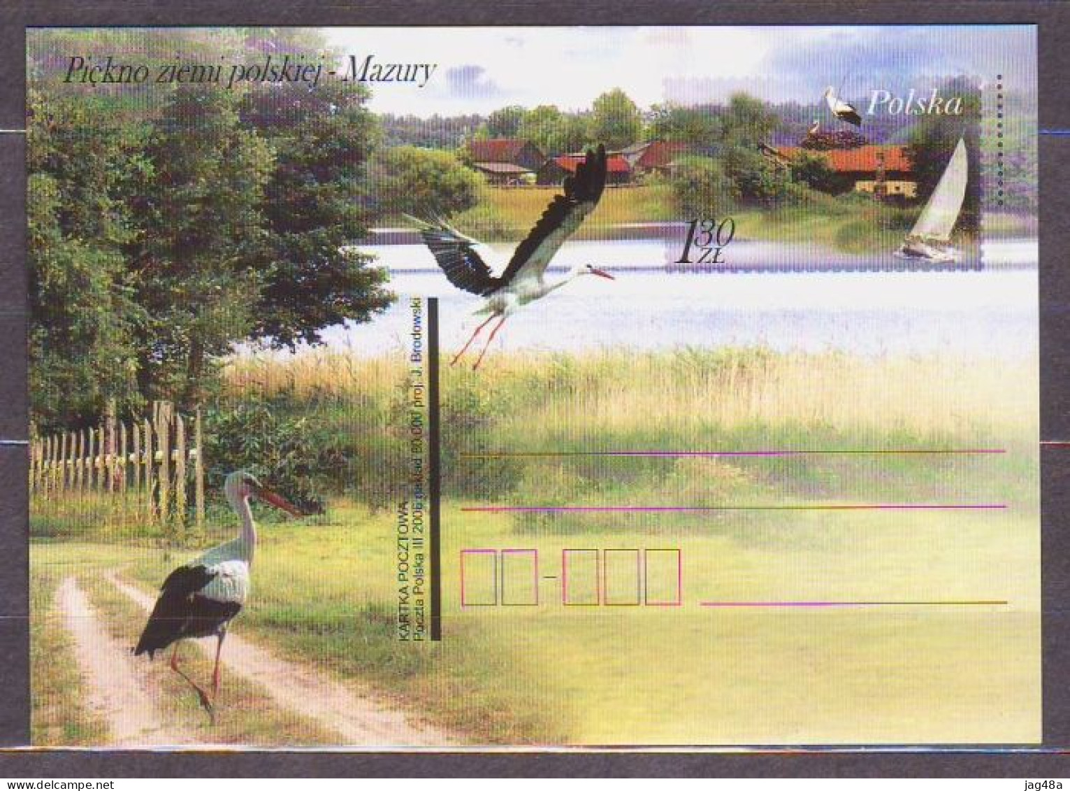 POLAND.2006/Mazury - White Stork.. PostCard/unused. - Neufs