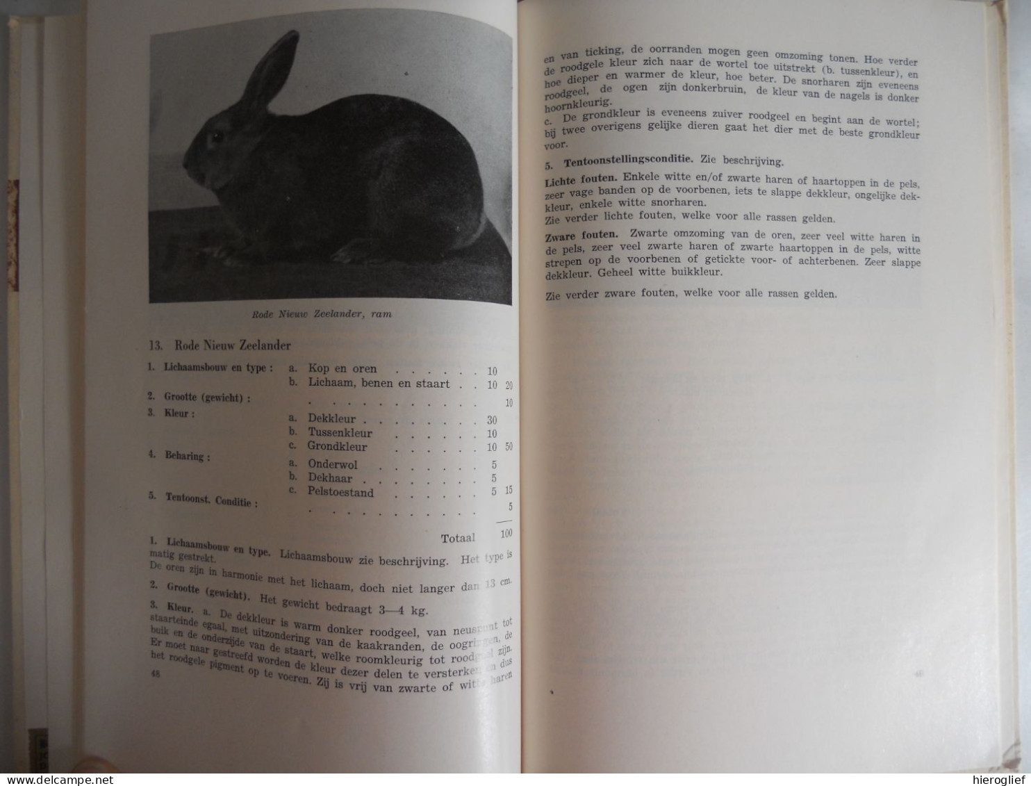 STANDAARD vd in Nederland erkende konijnen rassen N.B.K.V. / fokkers kwekers pelsdierenteelt normen maten pelsdier pels
