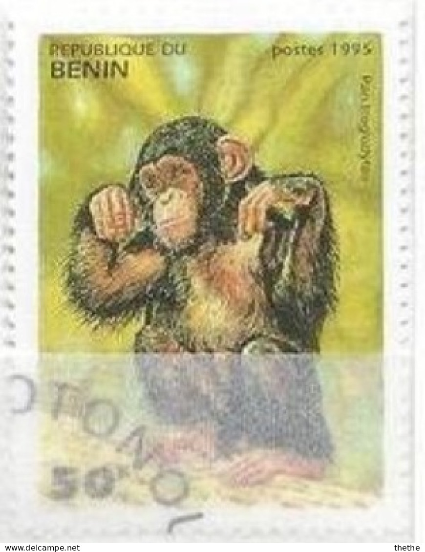 BENIN - Chimpanzé (Pan Troglodytes) - Affen