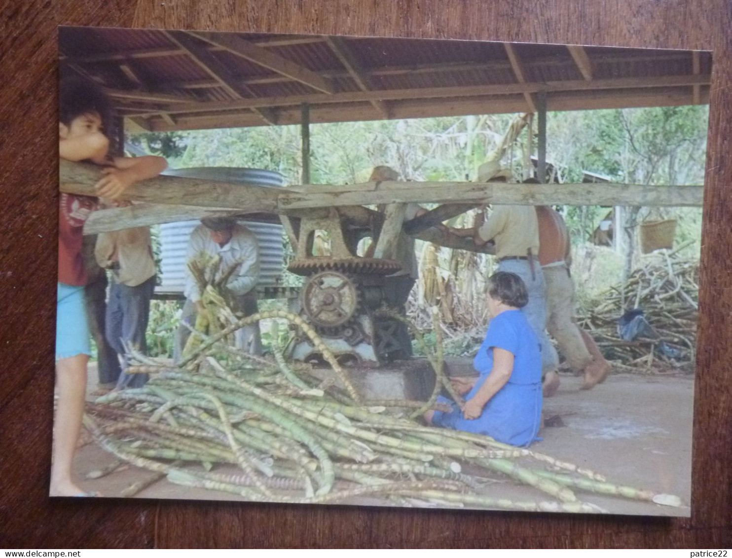 Inédite CPSM Nouvelle Zelande ILE PITCAIRN ISLAND SUGAR CANE GRINDING BROYAGE DES CANNES À SUCRE DANS UN MOULIN - Nouvelle-Zélande