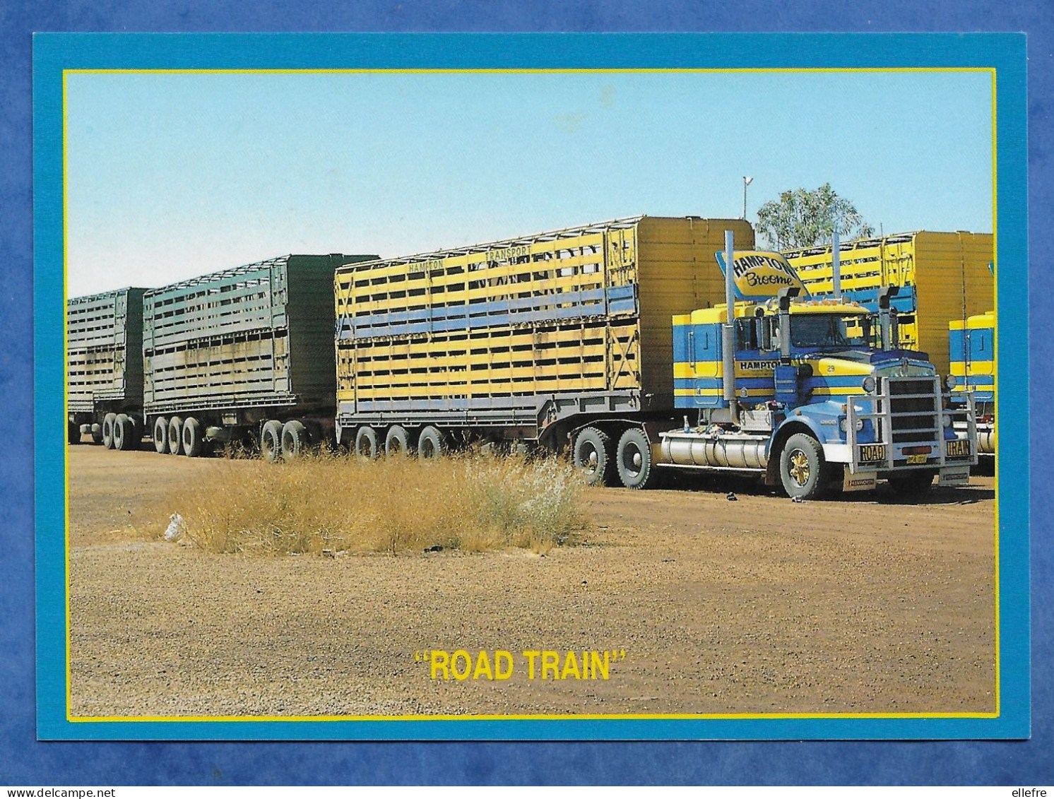 CPM   ETATS UNIS - CAMION POIDS LOURDS - ROAD TRAIN ( Pictured Cattle Truck ) Hampton Broome Photo R Luxford - Camions & Poids Lourds