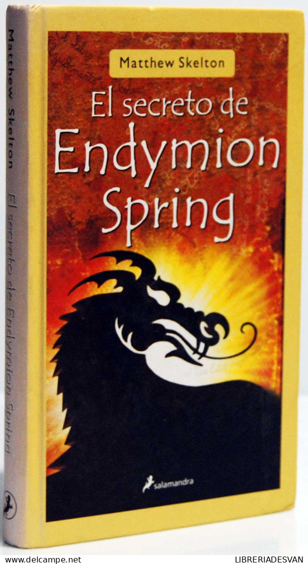 El Secreto De Endymion Spring - Matthew Skelton - Boek Voor Jongeren & Kinderen