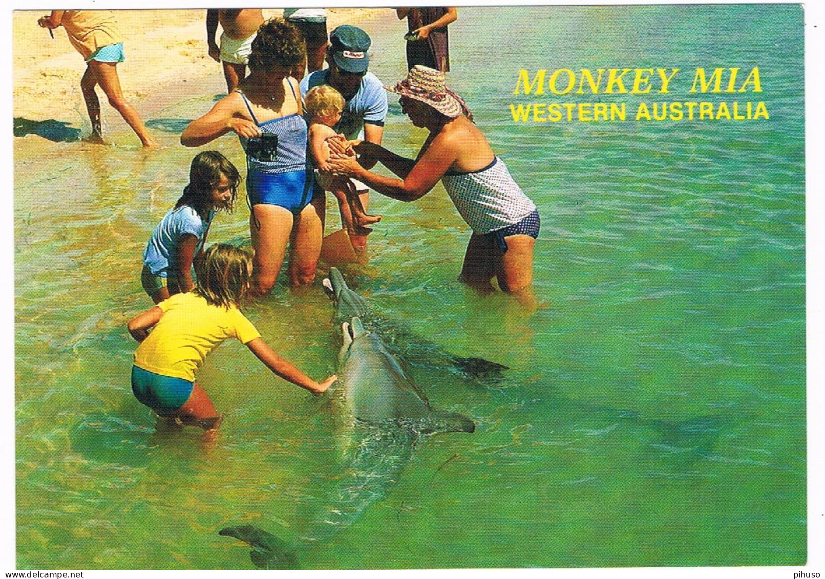 AUS-404  MONKEY MIA : Wild Dolphins Meeting People - Autres & Non Classés