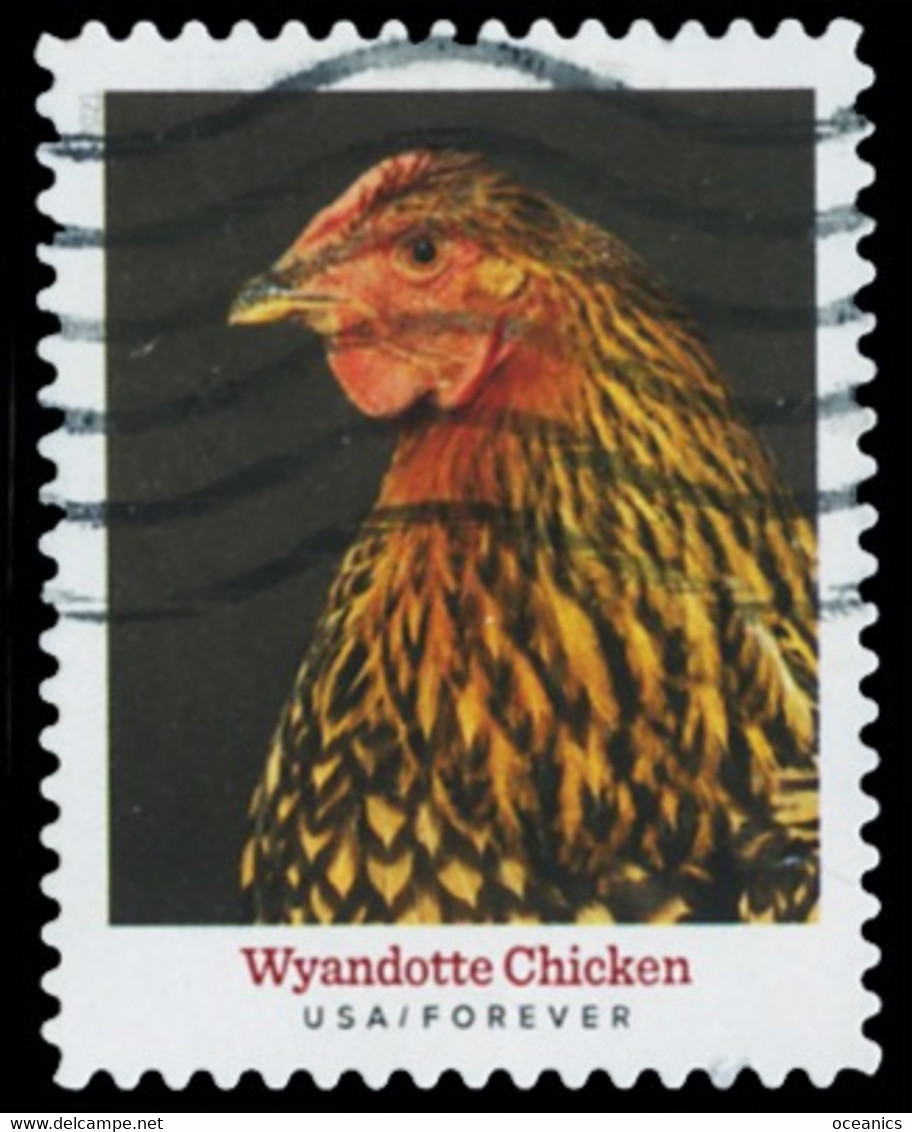 Etats-Unis / United States (Scott No.5584 - Heritage Breeds) (o) - Used Stamps