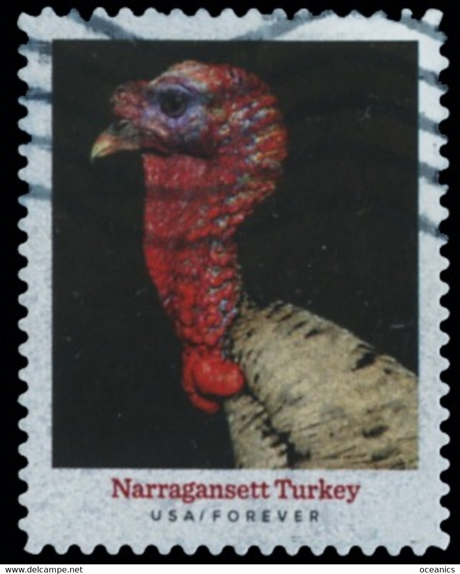 Etats-Unis / United States (Scott No.5586 - Heritage Breeds) (o) - Used Stamps