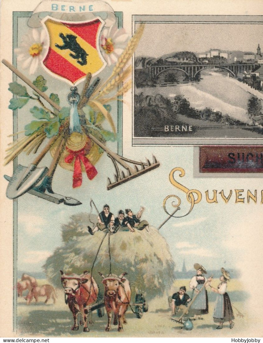 Souvenir De 189? Berne - Wunderschöne Postkarte - Ungebraucht - Bauernhöfe