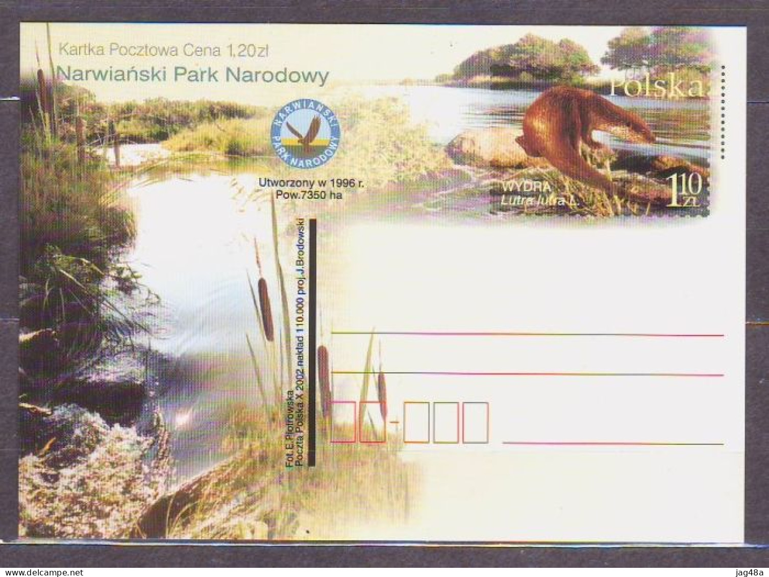 POLAND.. 2001/Narwinski Park Narodowy - European Otter.. PostCard/unused. - Cartas & Documentos