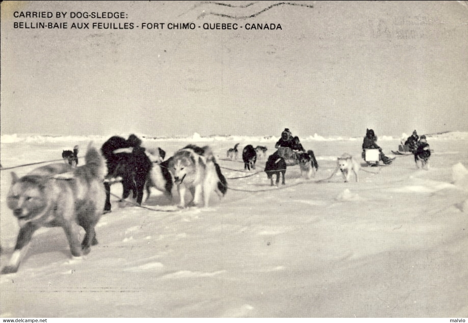 1976-Canada Cartolina "carried By Dog-sledge/trasportata Da Cani Slitta" Tassata - Primi Voli