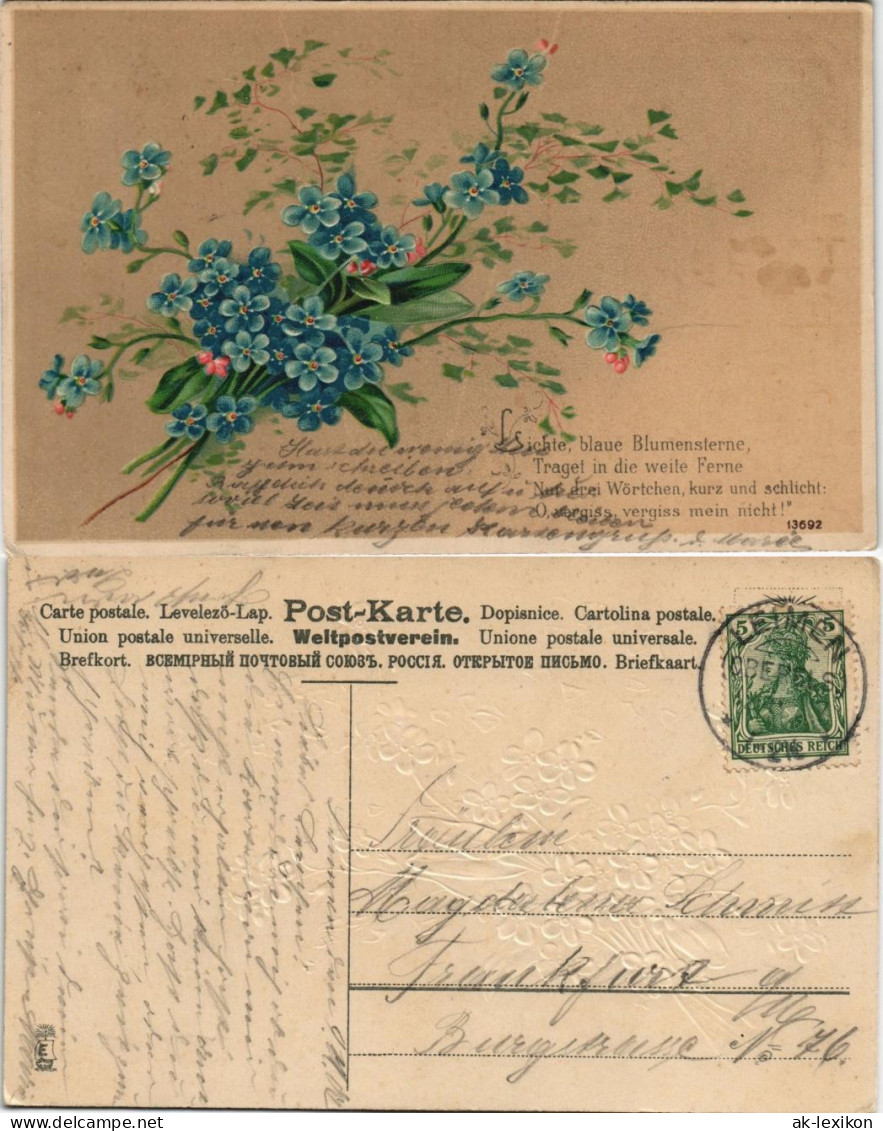 Spruchkarte/Gedichte Feilchen Strauß Lichte Blaue Blumensterne 1908 Prägekarte - Philosophie & Pensées