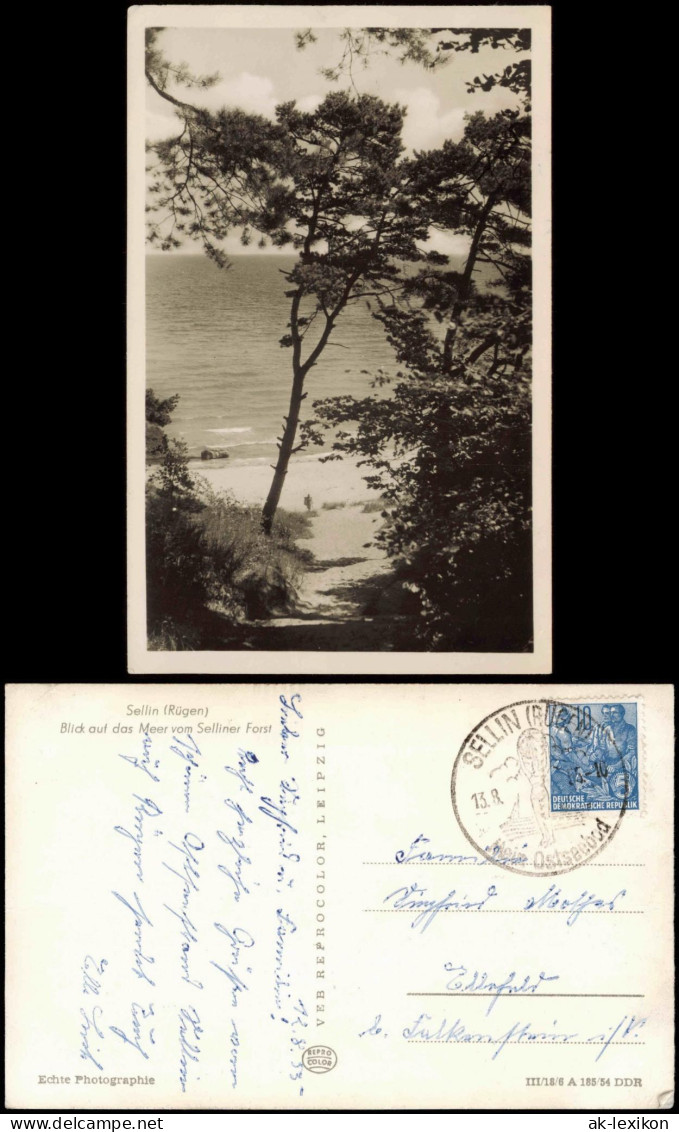 Ansichtskarte Sellin Blick Auf Das Meer Vom Selliner Forst 1954 - Sellin