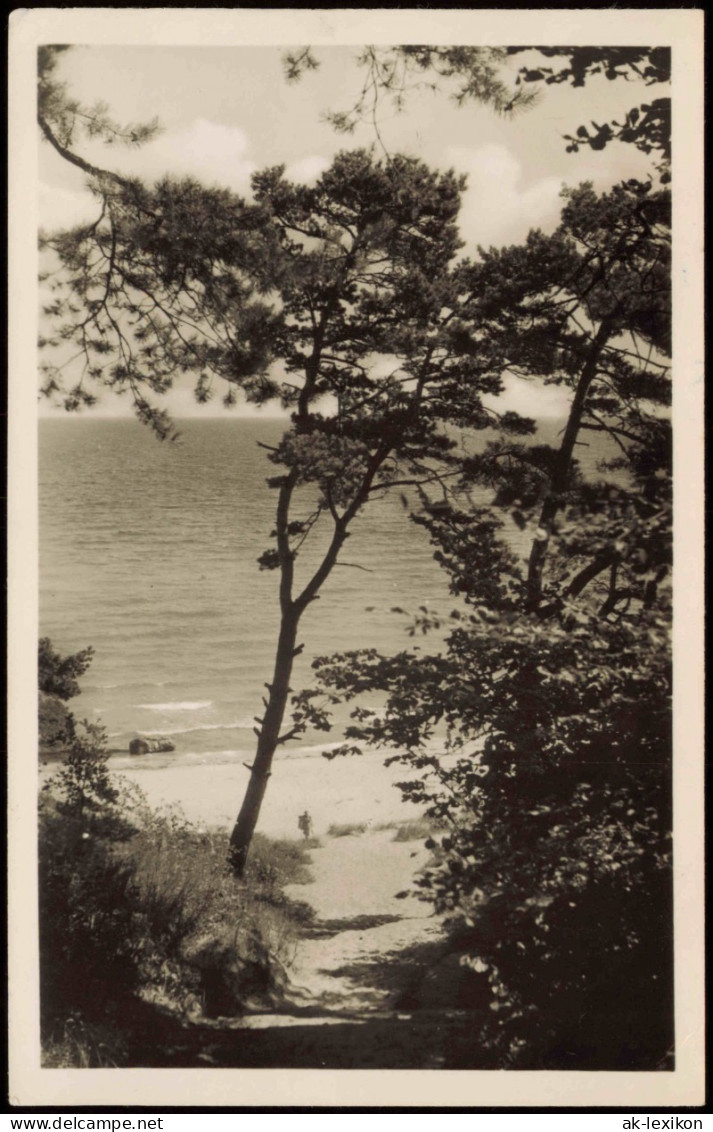 Ansichtskarte Sellin Blick Auf Das Meer Vom Selliner Forst 1954 - Sellin