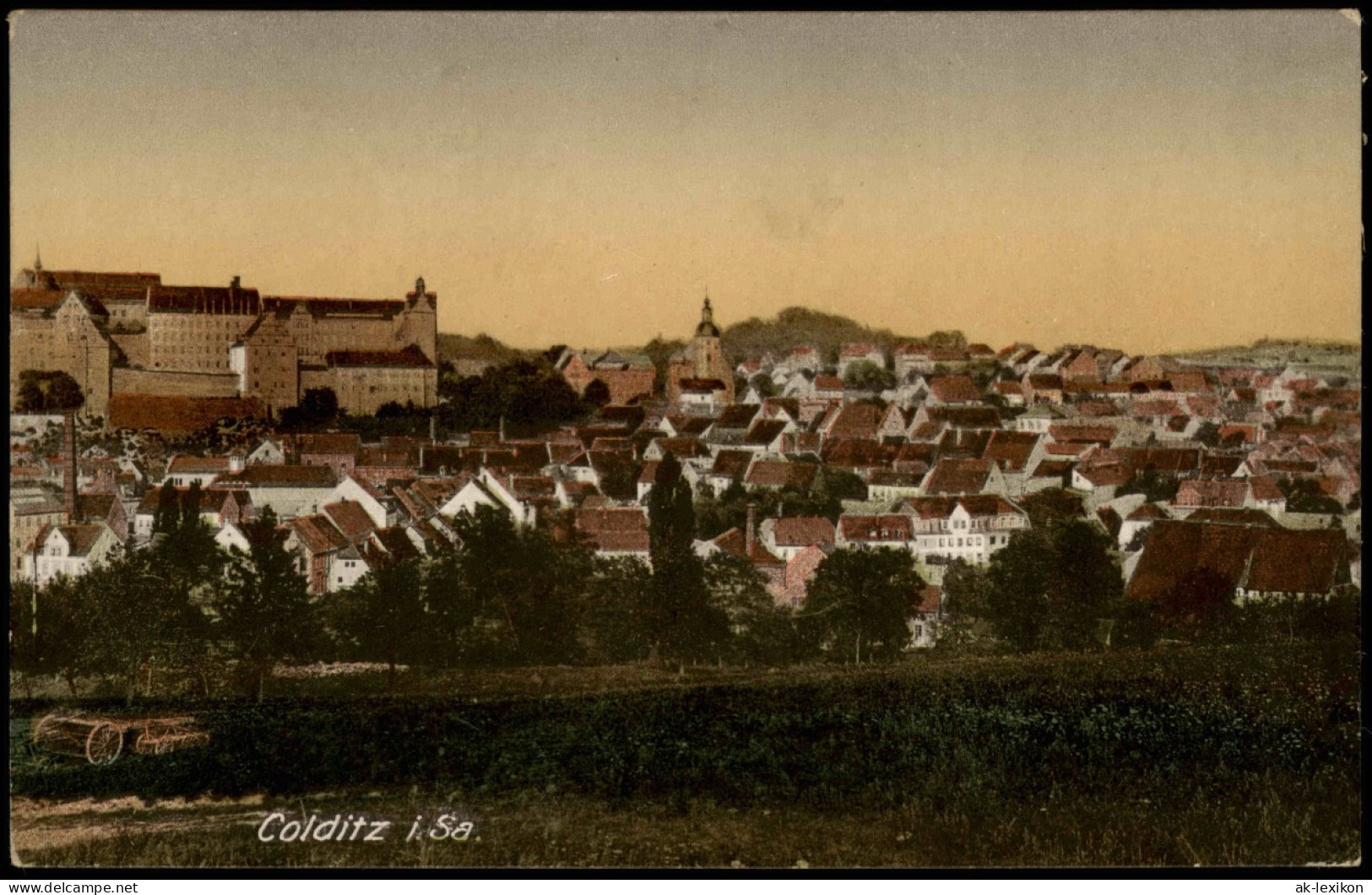 Ansichtskarte Colditz Panorama-Ansicht Ortspanorama 1922 - Colditz