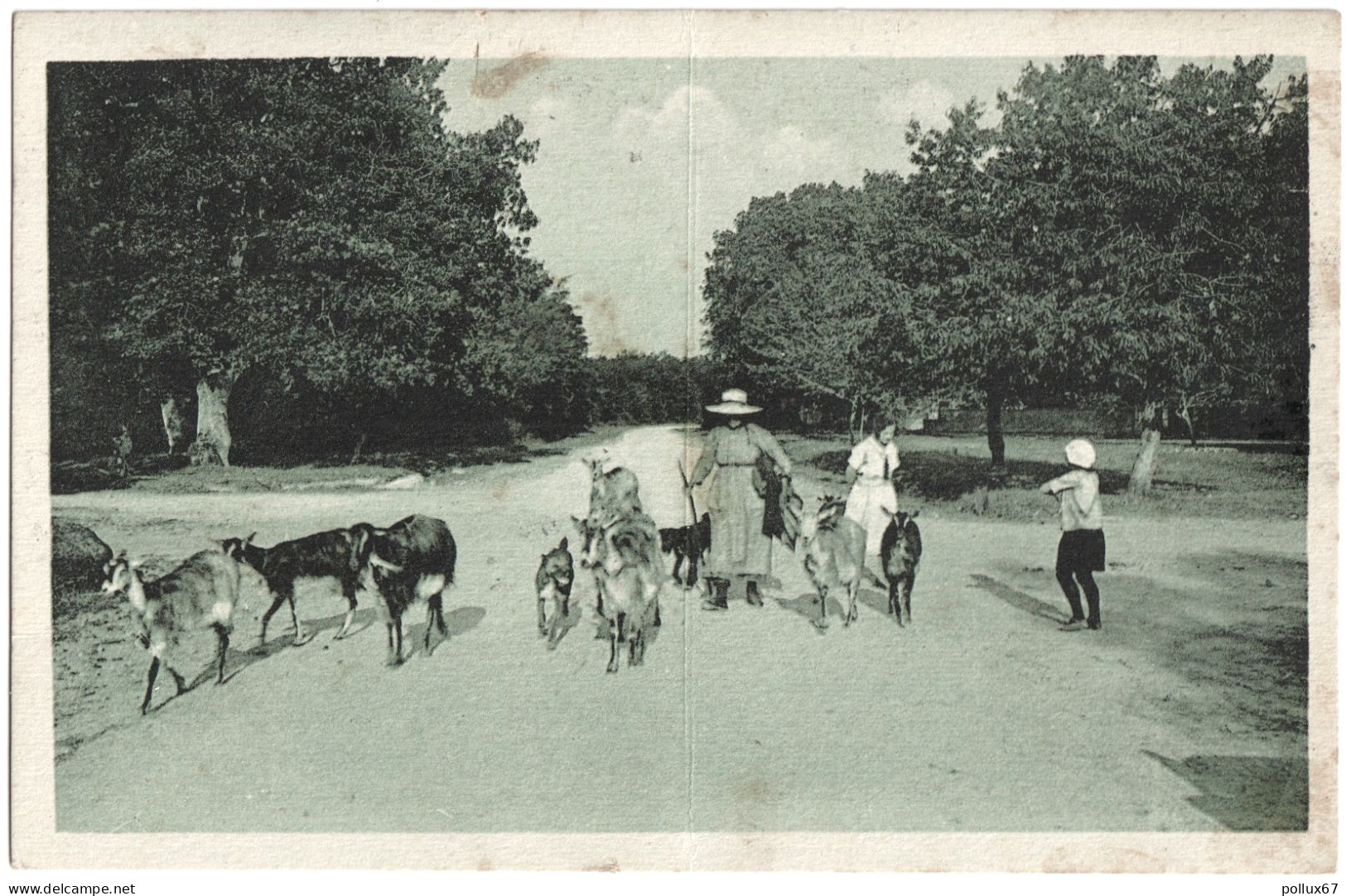 CPA DE BEAUVOIR-SUR-NIORT  (DEUX-SÈVRES)  ENTRÉE DE LA FORÊT DE CHIZÉ - Beauvoir Sur Niort