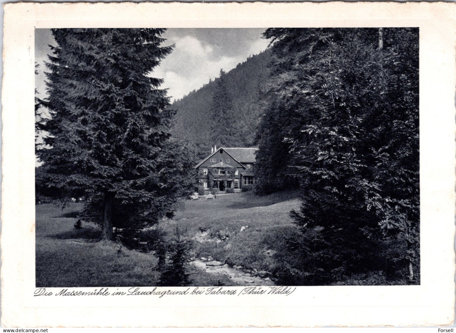 Die Massemühle Im Lauchagrund Bei Tabarz , Thüringer Wald (Stempel: Tabarz 1938) - Tabarz