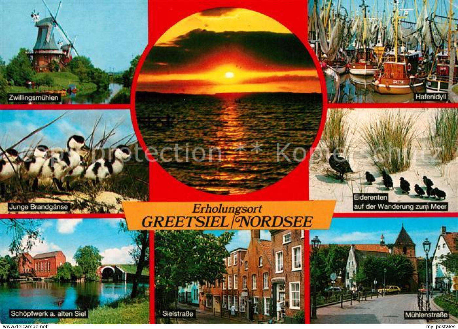 73160131 Greetsiel Eiderenten Muehle Hafen Brandgaense  Greetsiel - Krummhörn