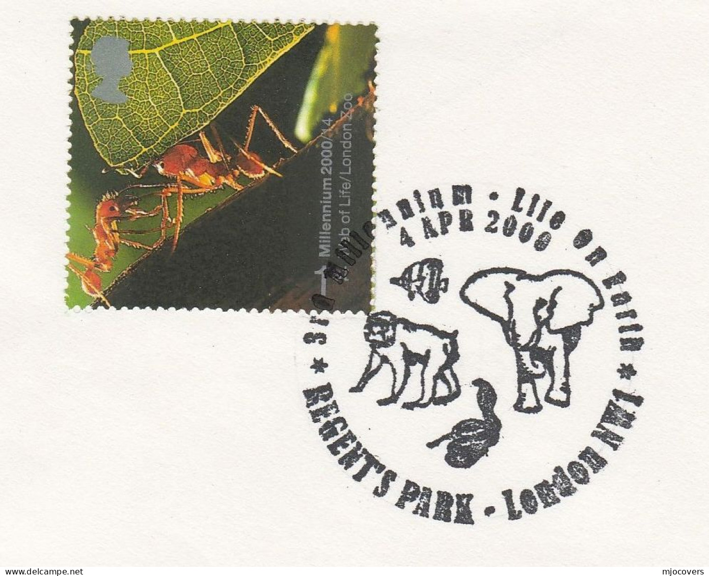 ELEPHANT Pmk COVER GB Stamps 2000 Snake Monkey Insect - Eléphants