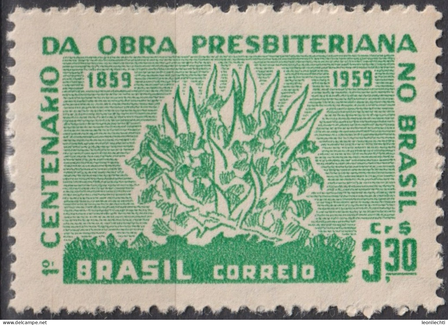 1959 Brasilien ** Mi:BR 970, Sn:BR 902, Yt:BR 687, Burning Bush, Brennender Busch - Ongebruikt