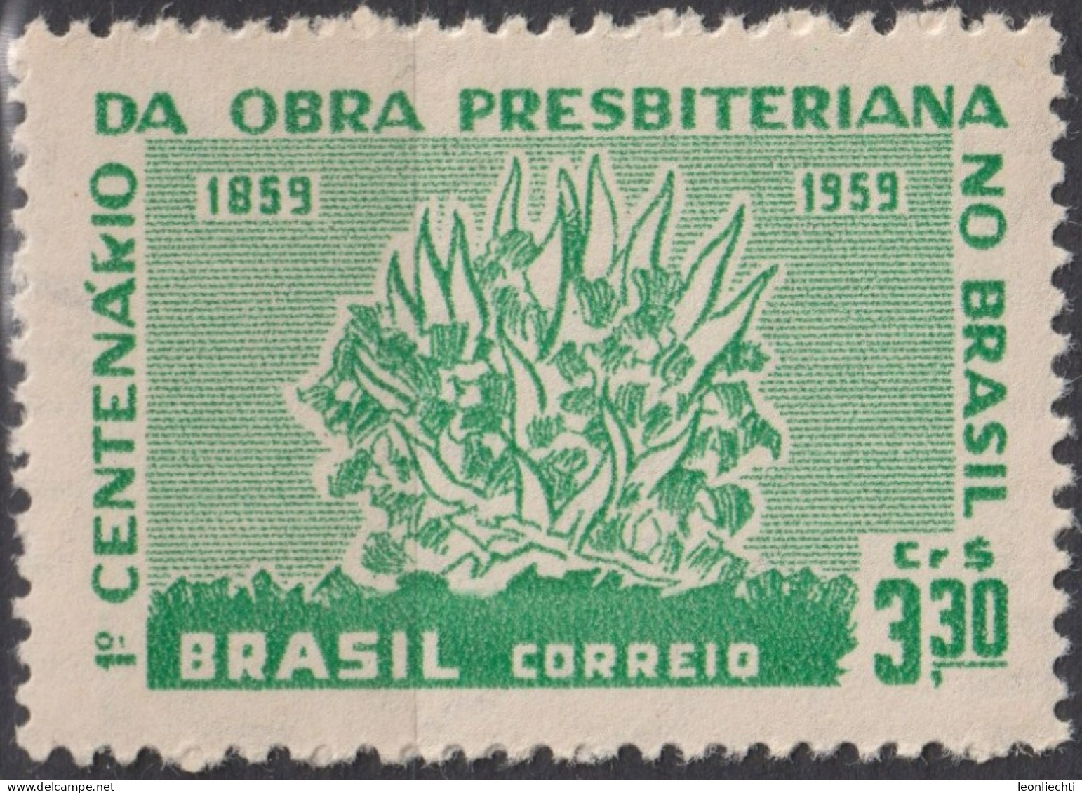 1959 Brasilien ** Mi:BR 970, Sn:BR 902, Yt:BR 687, Burning Bush, Brennender Busch - Nuevos