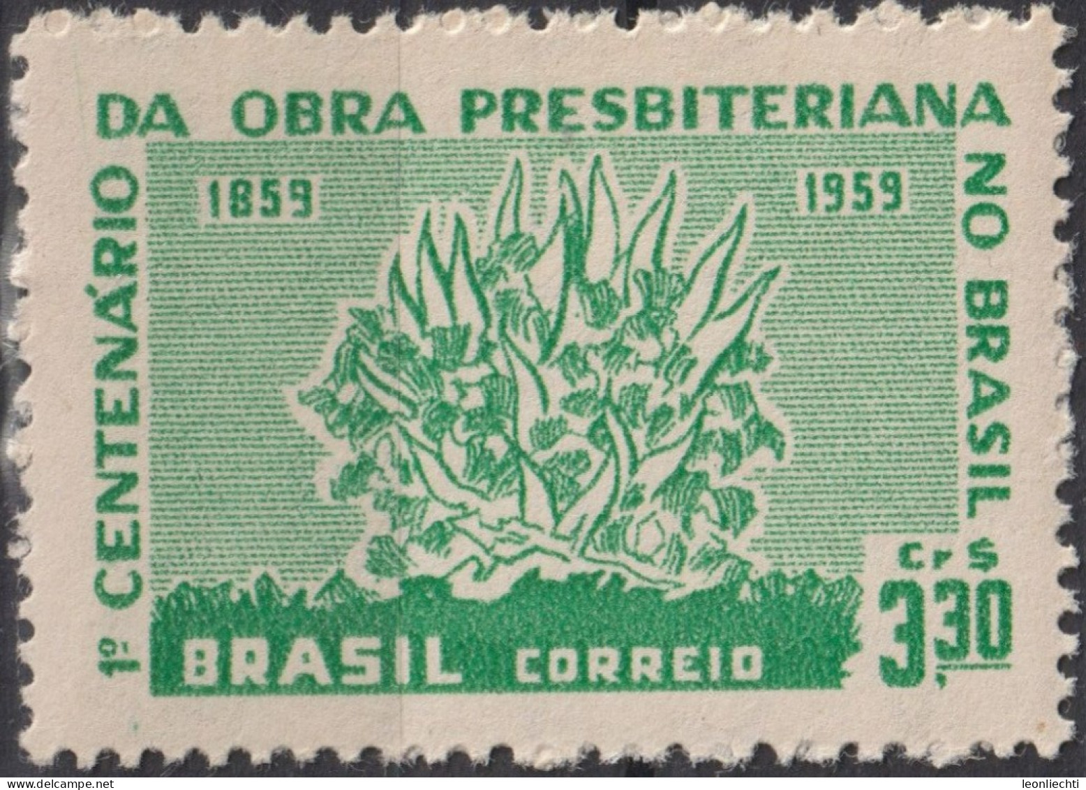 1959 Brasilien ** Mi:BR 970, Sn:BR 902, Yt:BR 687, Burning Bush, Brennender Busch - Neufs