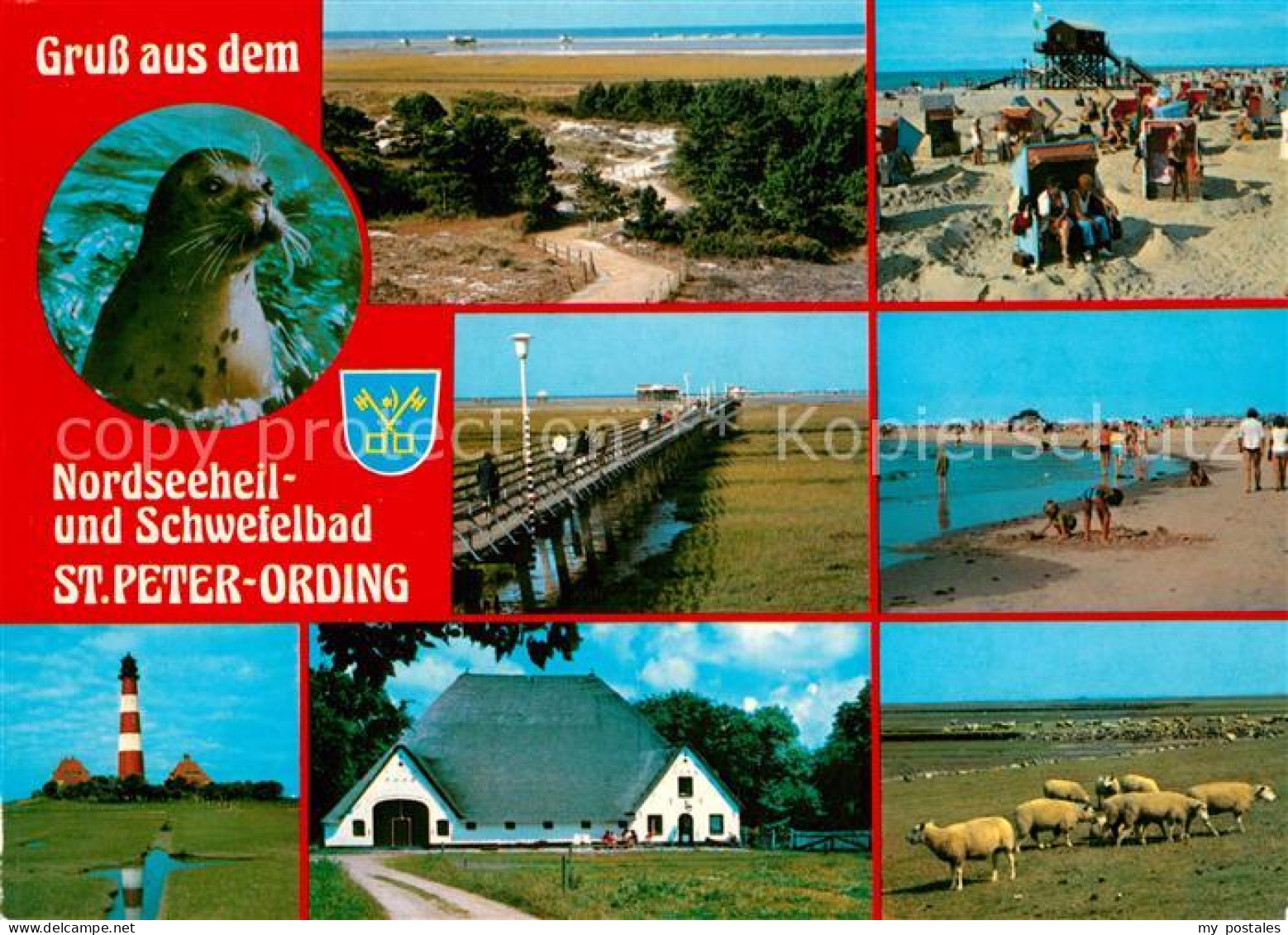 73159648 St Peter-Ording Seehund Strand Bruecke Zur Sandbank Leuchtturm Bauernho - St. Peter-Ording