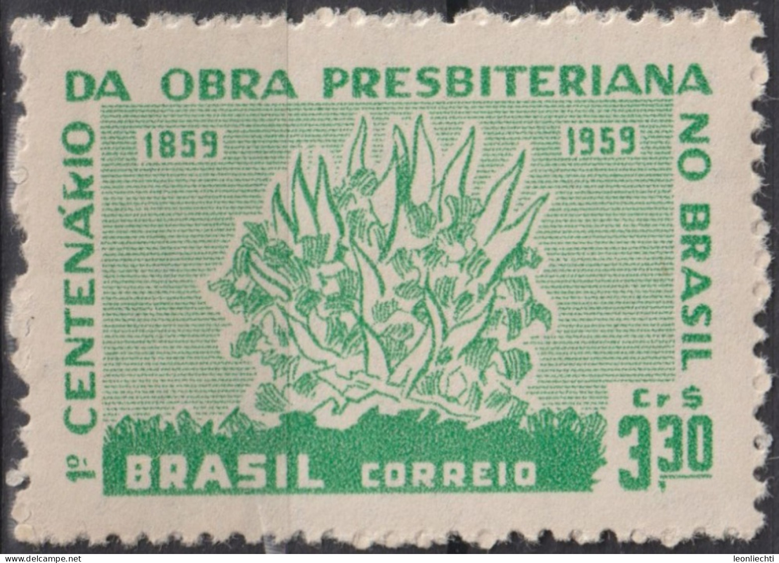 1959 Brasilien ** Mi:BR 970, Sn:BR 902, Yt:BR 687, Burning Bush, Brennender Busch - Nuevos